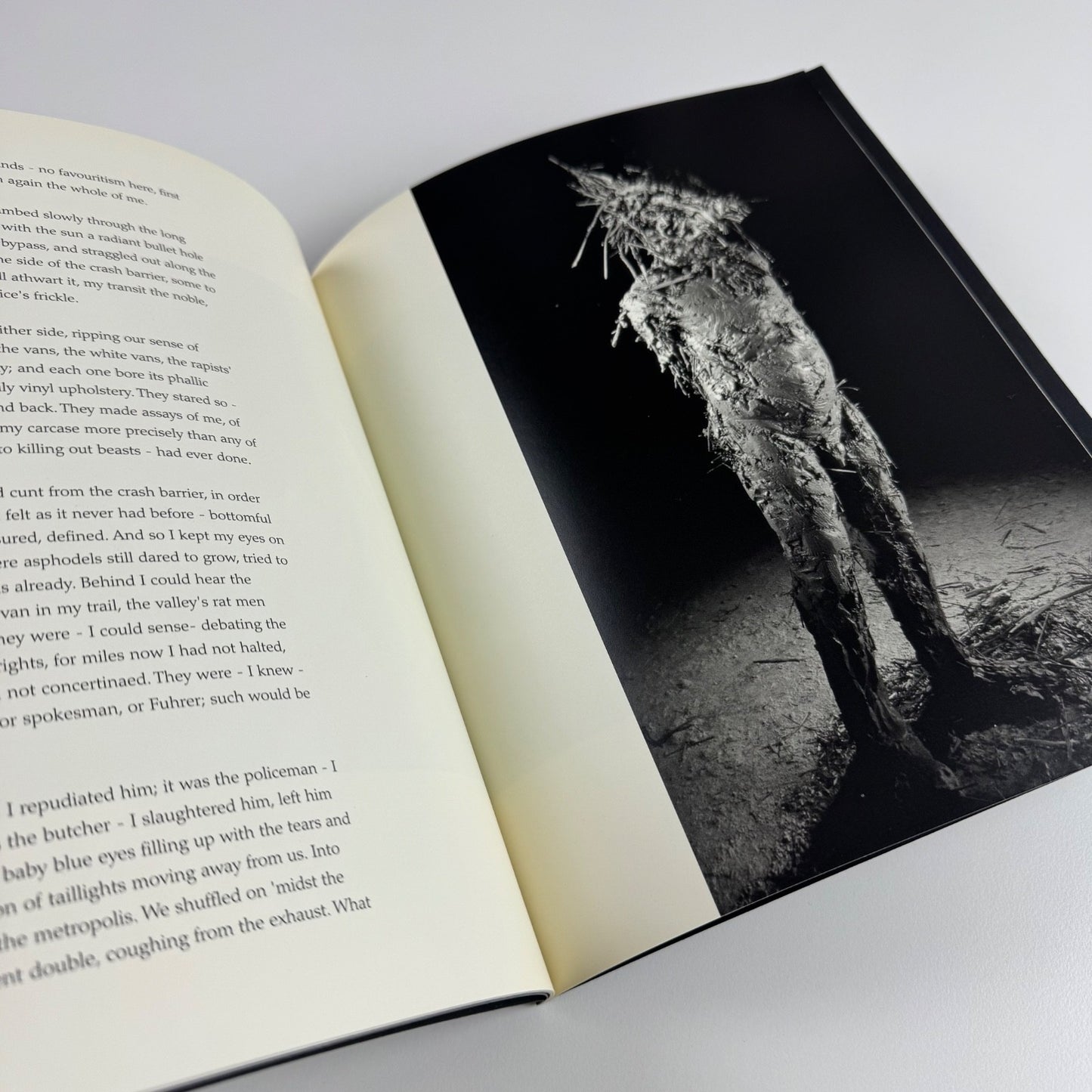 Nicola Hicks. The camel that broke the straw’s back. Will Self | Flowers East, 1998