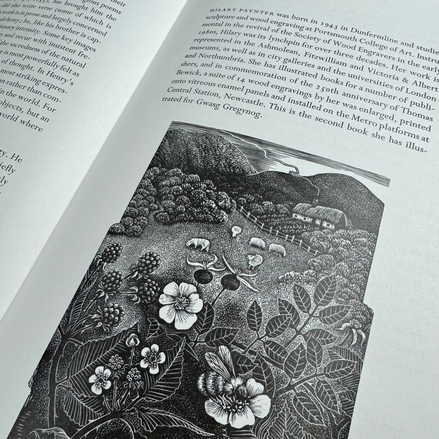 Prospectus for The Texture of the Universe edited by Glyn Pursglove wood engravings by Hilary Paynter Gregynog