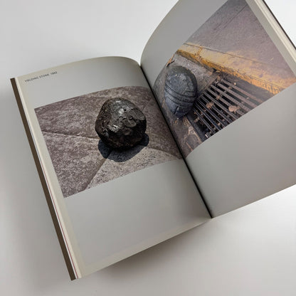 Gabriel Orozco by Jessica Morgan | Tate, 2011