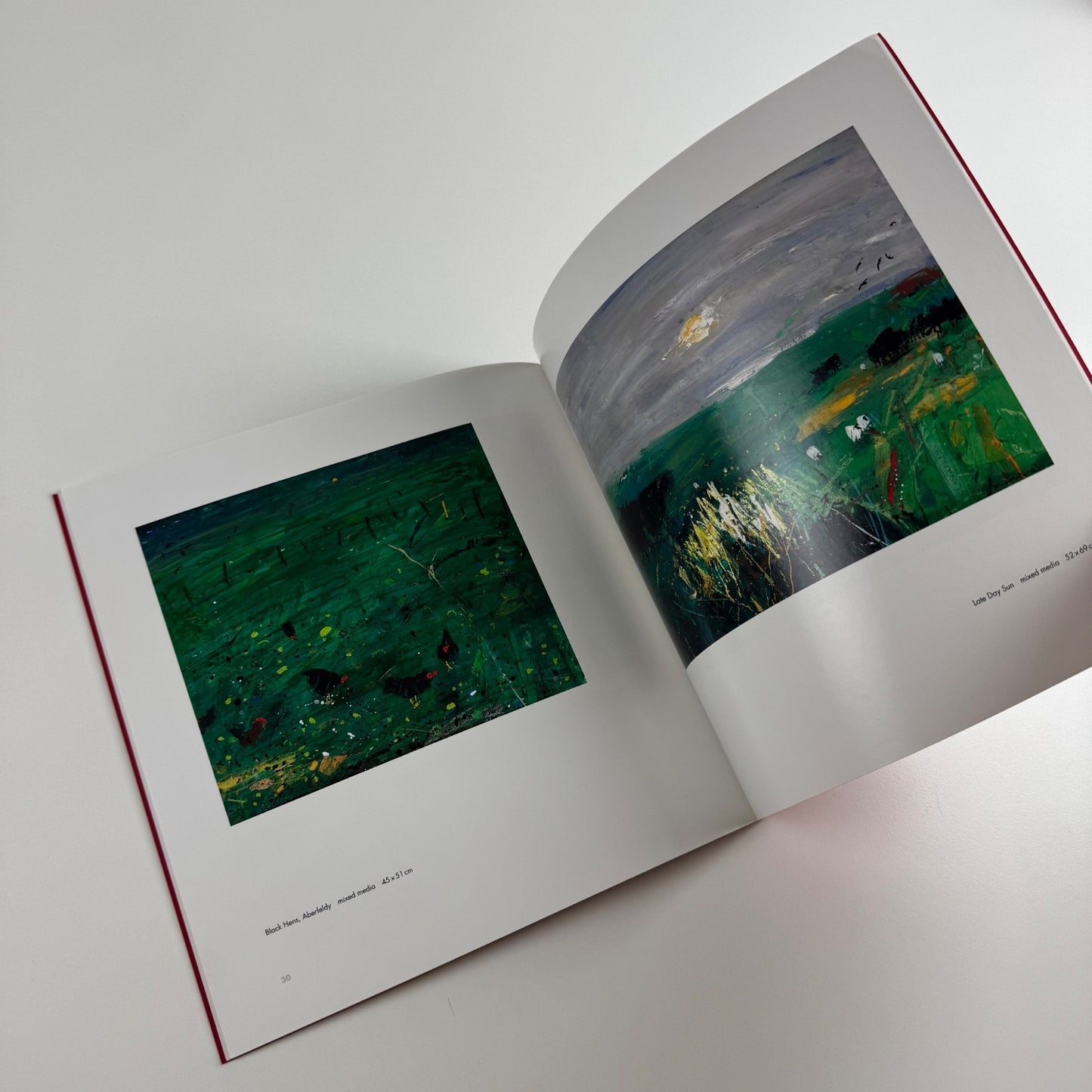 Hamish MacDonald. The Art of Drawing Good From Bad | Lemon Street Gallery 2008