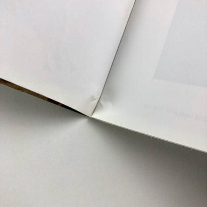 A Vital Simplicity. Four generations of the Nicholson Family | introduction by Frances Spalding | Caroline Wiseman, 2004