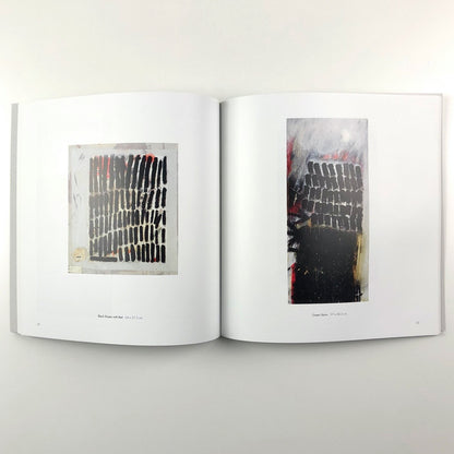 John Blackburn. Colour Keeps Breaking Through | Lemon Street Gallery catalogue, 2012