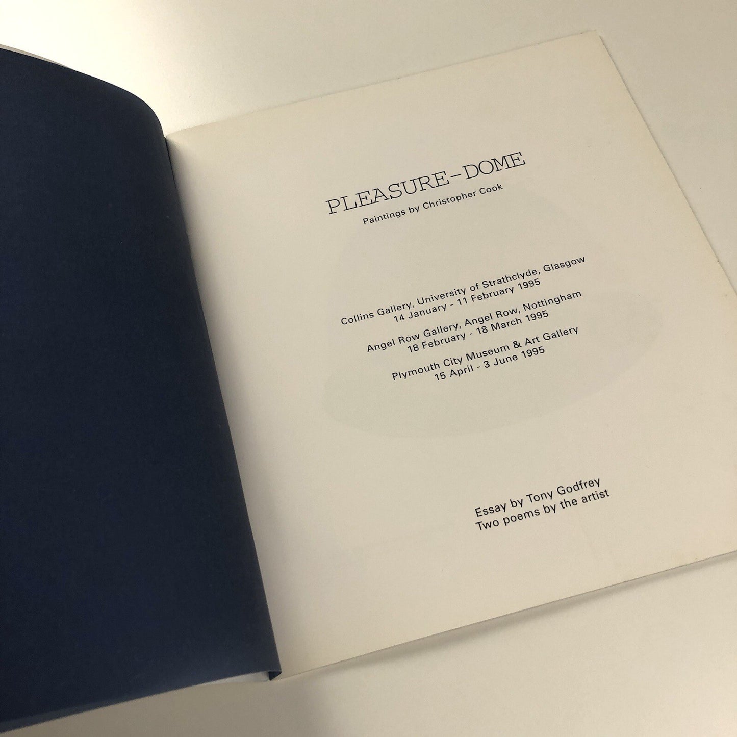 Pleasure-Dome Paintings by Christopher Cook | Essay by Tony Godfrey, 1995