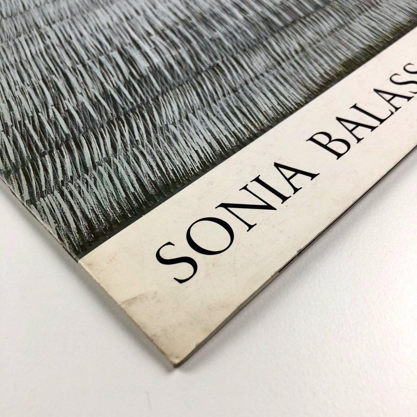 Sonia Balassanian | Negarkhanesh Saman, Tehran June 1976 | Exhibition catalogue