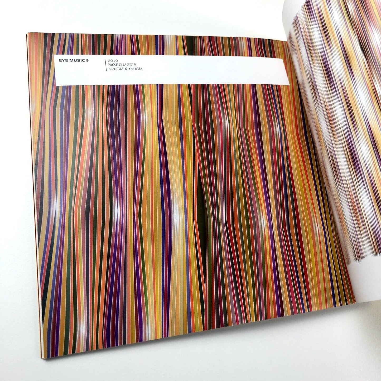 Peter Monaghan exhibition catalogue | Cube Gallery, Bristol 2010