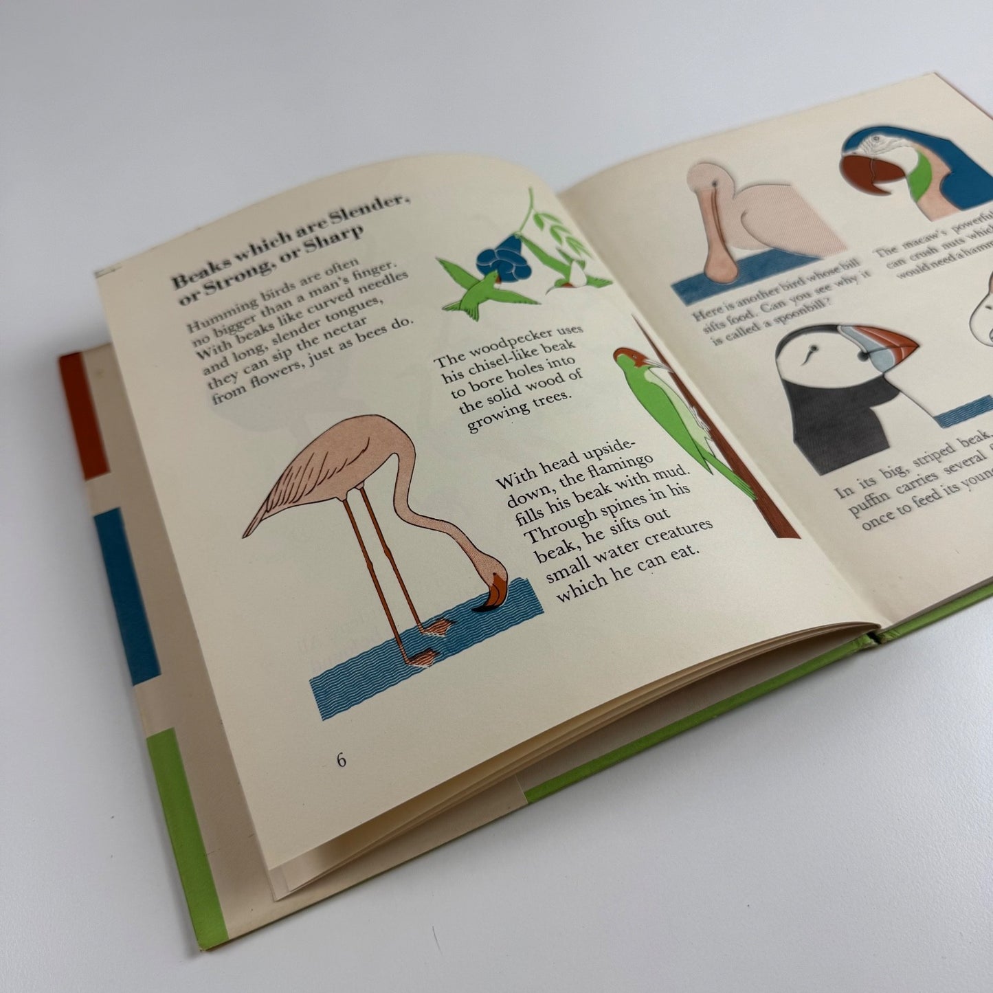 The Wonder World of Birds by Marie Neurath | Max Parrish, 1953 Isotype Institute