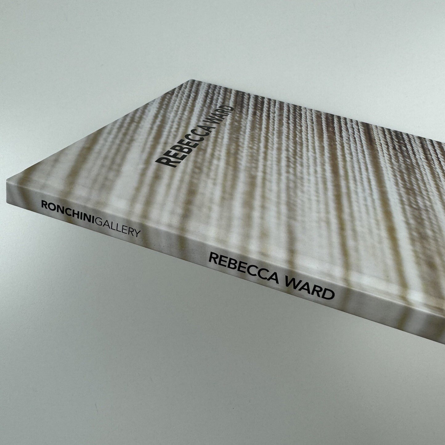 Rebecca Ward. Cow Tipping | Ronchini Gallery / Artnesia 2013 catalogue