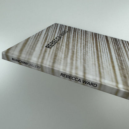Rebecca Ward. Cow Tipping | Ronchini Gallery / Artnesia 2013 catalogue