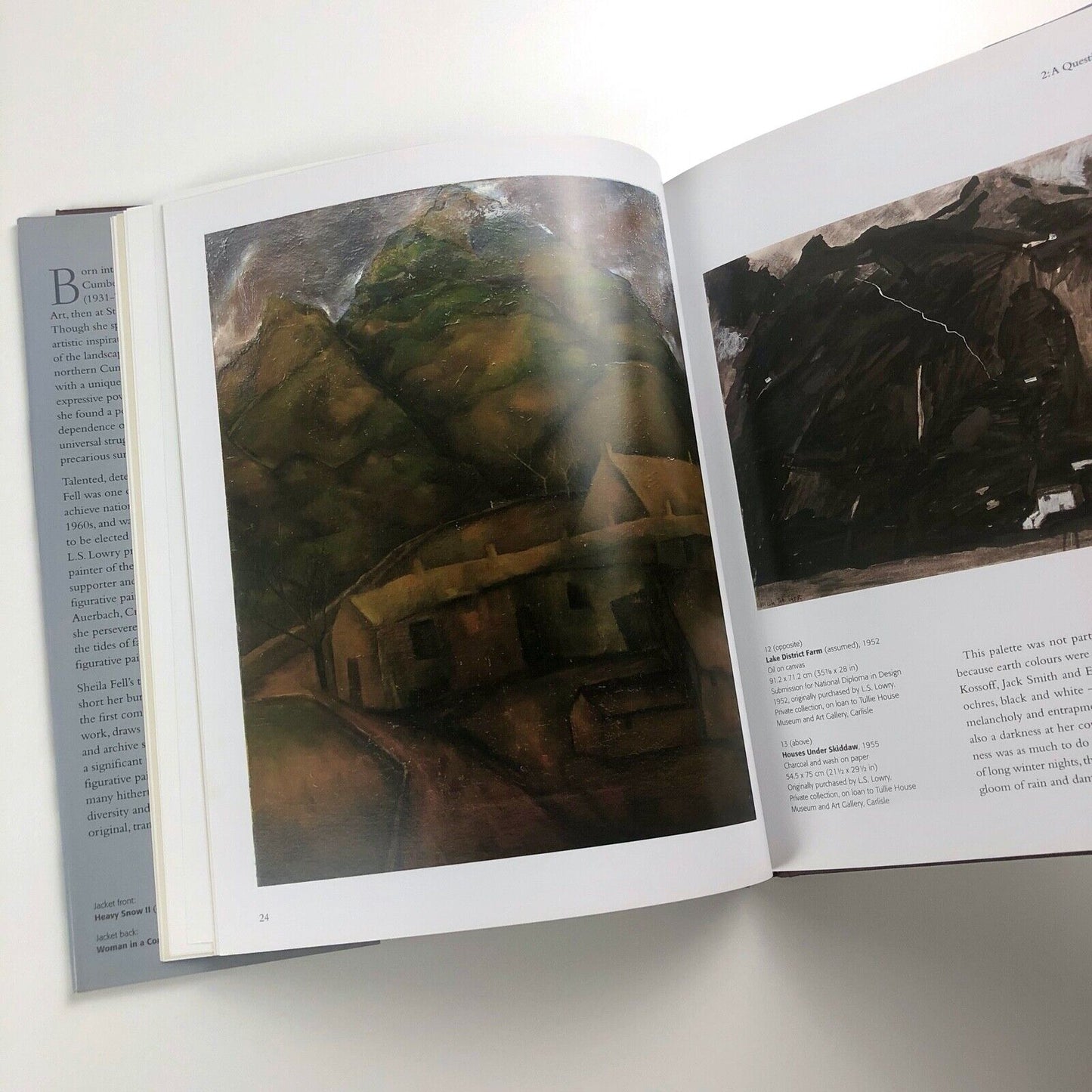 Sheila Fell: A Passion For Paint, by Cate Haste | Lund Humphries, 2010