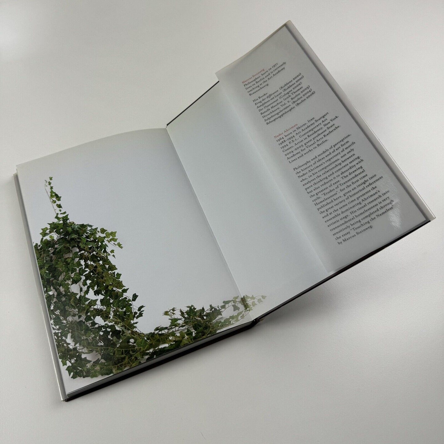 Etudes of Transcendental Homelessness: Nader Abriman | Marcus Steinweg, 2006