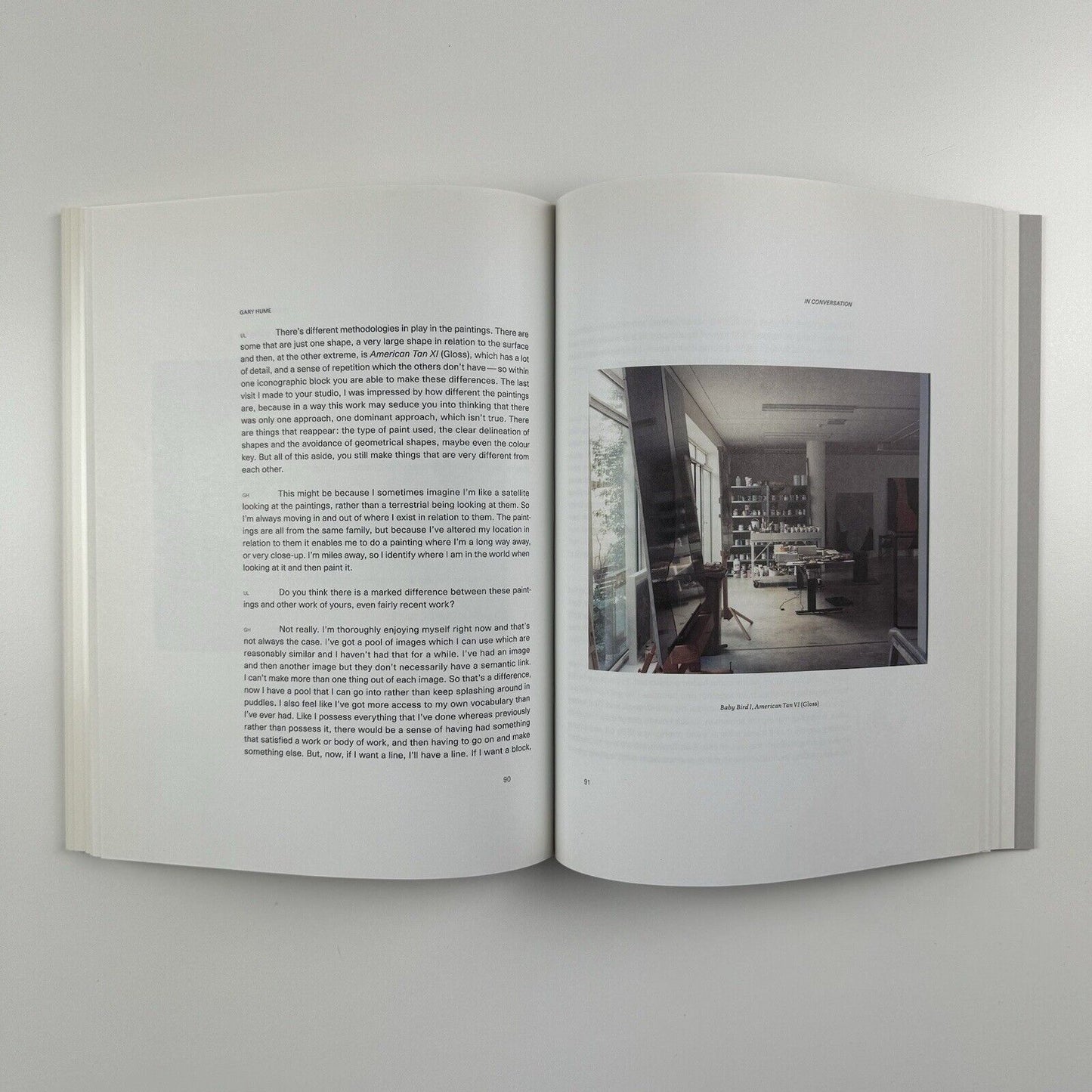 Gary Hume. American Tan | White Cube, London, 2007