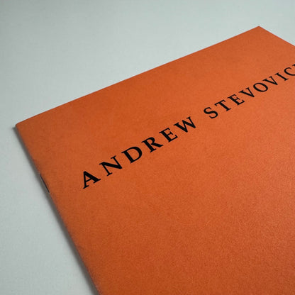 Andrew Stevovich. Recent Works | Adelson Galleries, New York, 1992