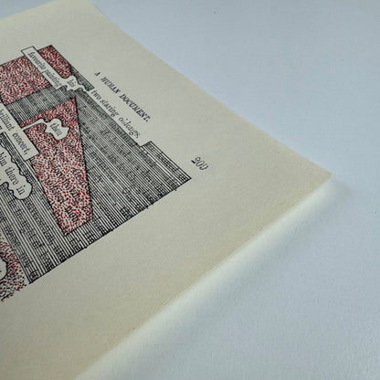 A Humument page 209 'two staring oblongs' by Tom Phillips | The Tetrad Press, 1970