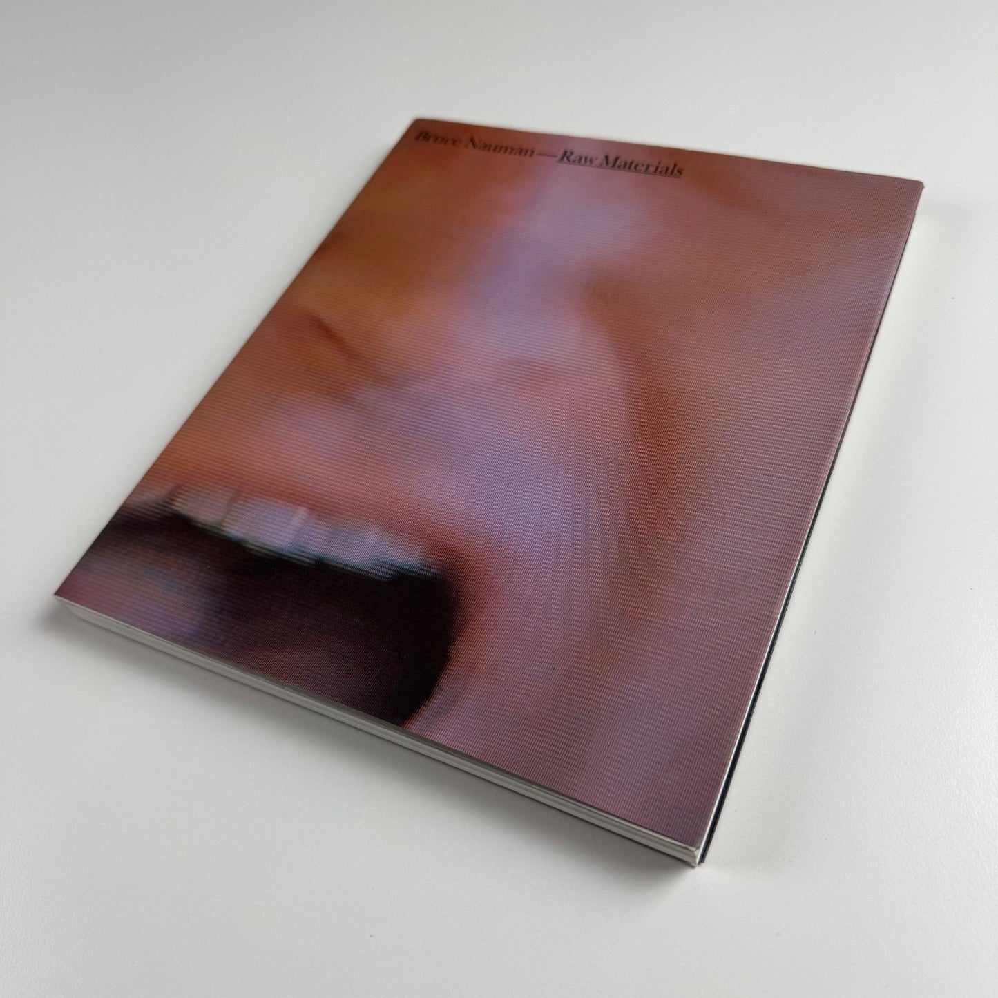Bruce Nauman Raw Materials Tate Modern 2004/5