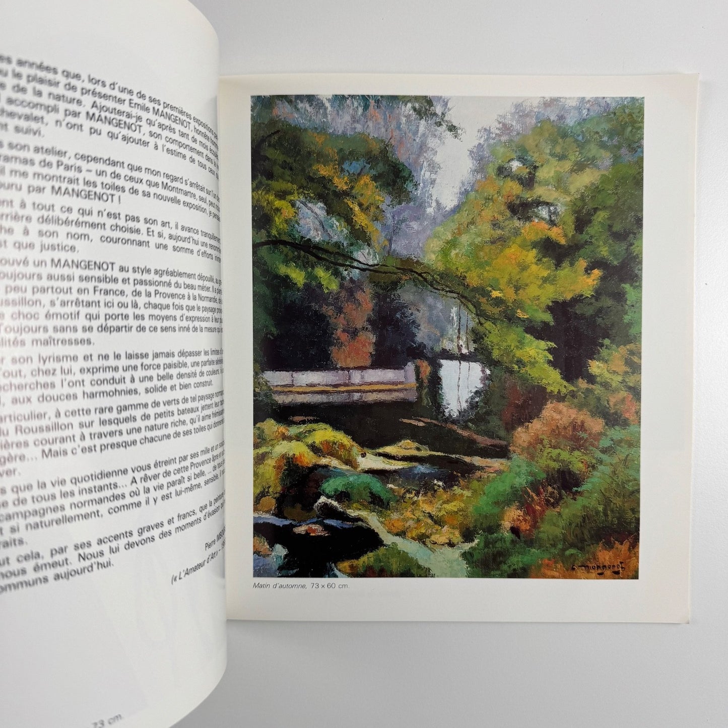 Emile Mangenot | catalogue to accompany the exhibition held in 1987