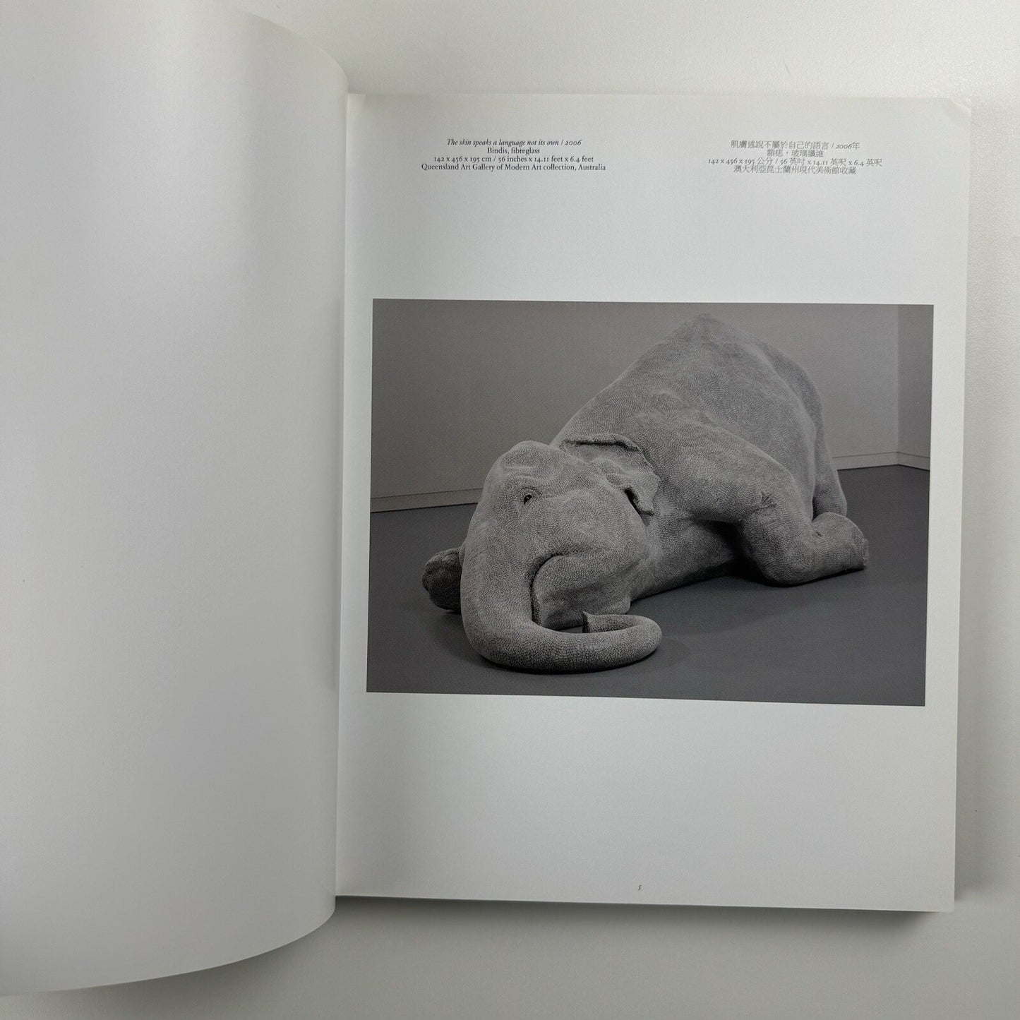 Bharti Kher – Blind, eyes open | Galerie Perrotin 2012 catalogue