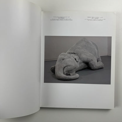 Bharti Kher – Blind, eyes open | Galerie Perrotin 2012 catalogue