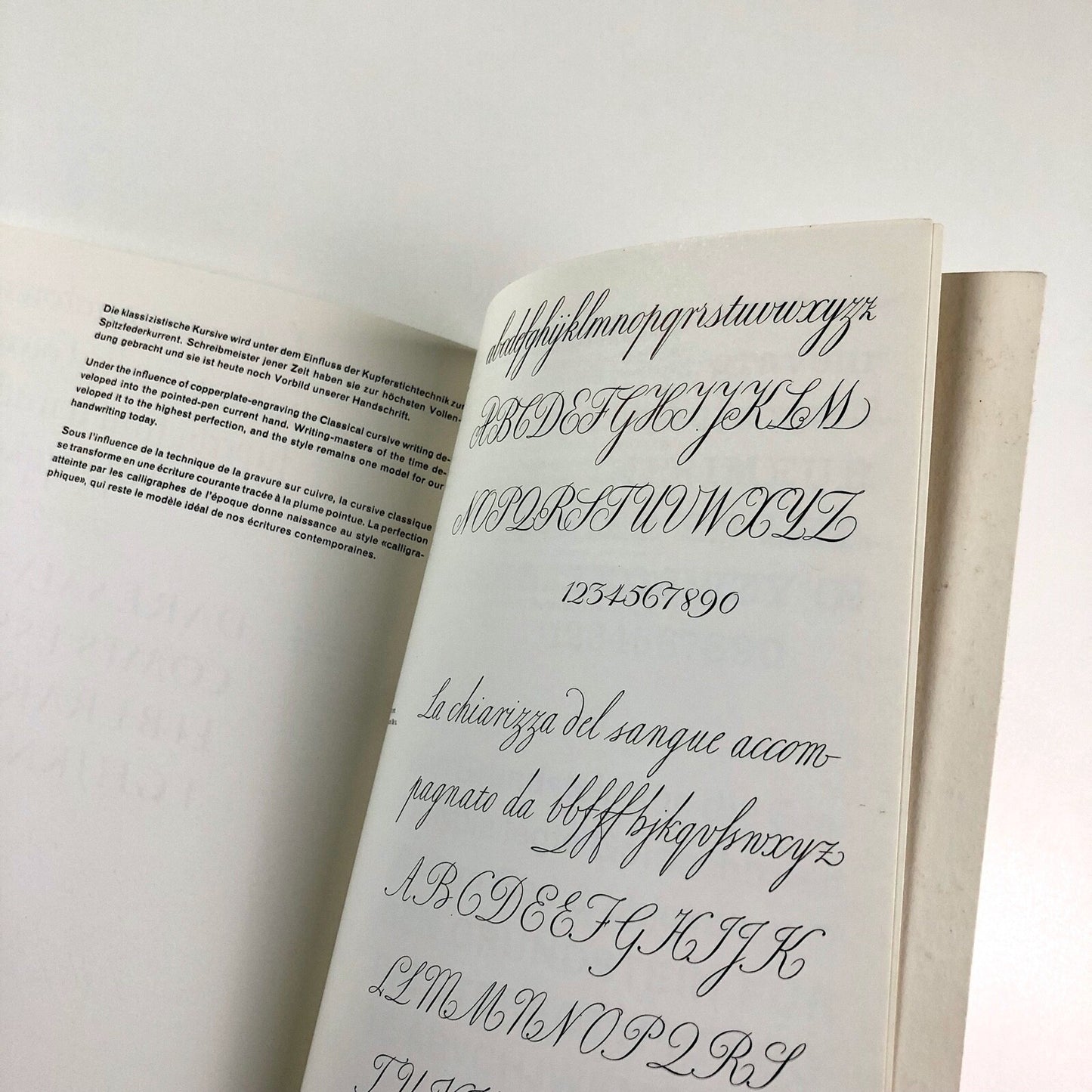 The Development of Writing by Hans Ed. Meyer | Alphabet Press – 10th printing, 1984
