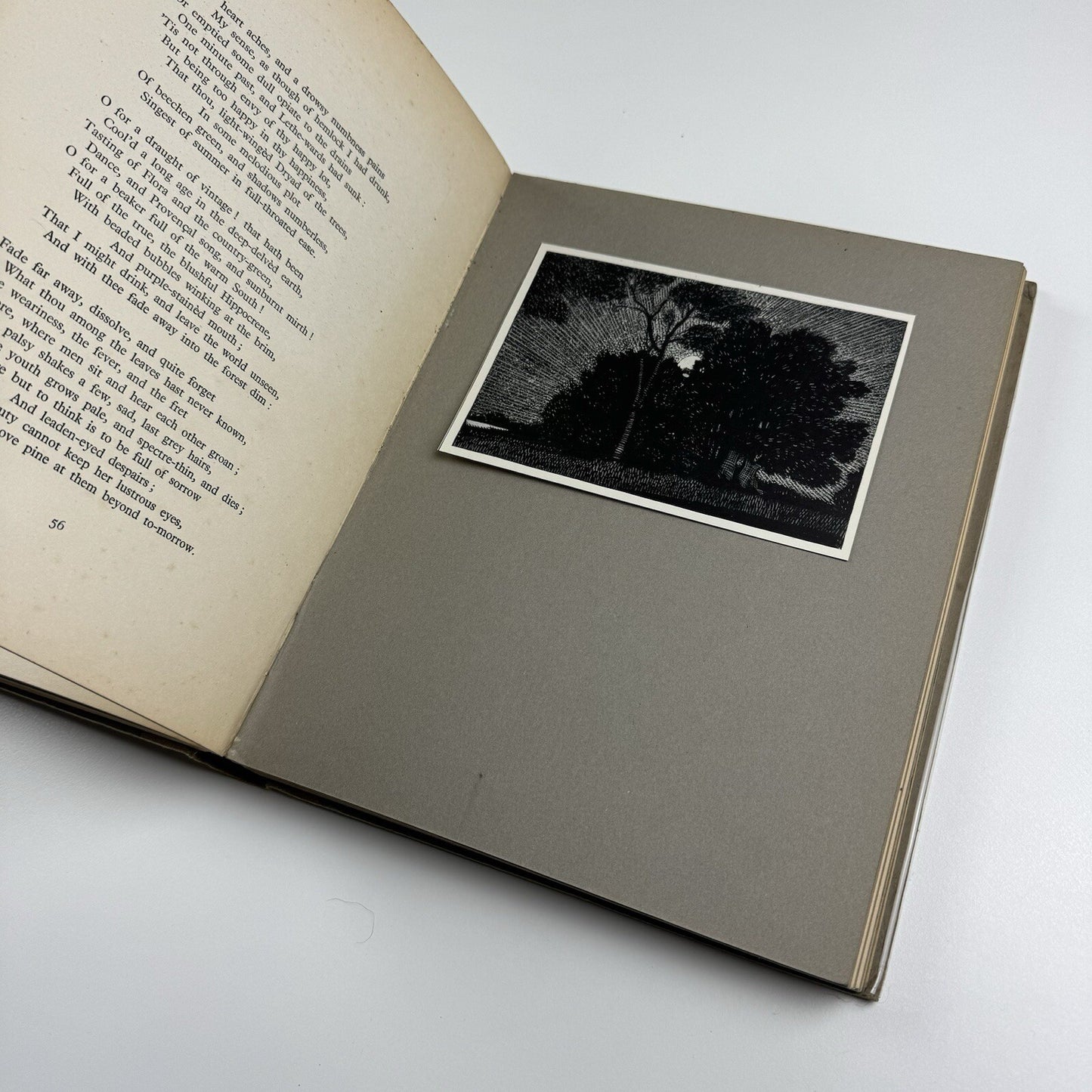 Arthur Watts. A Painter’s Anthology | Arrowsmith, London, 1924 | Ryan Cow Island Maine