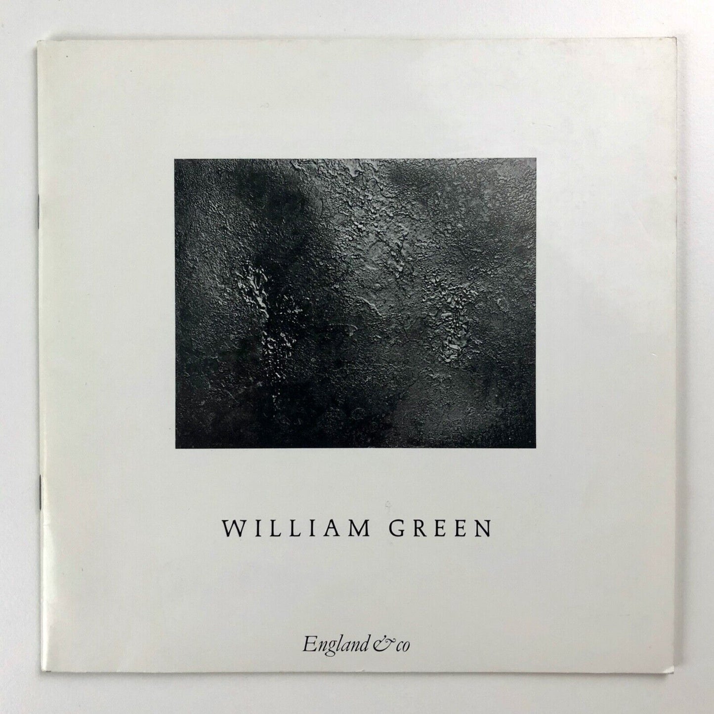William Green The Susan Hayward exhibition | England & Co catalogue, 1993