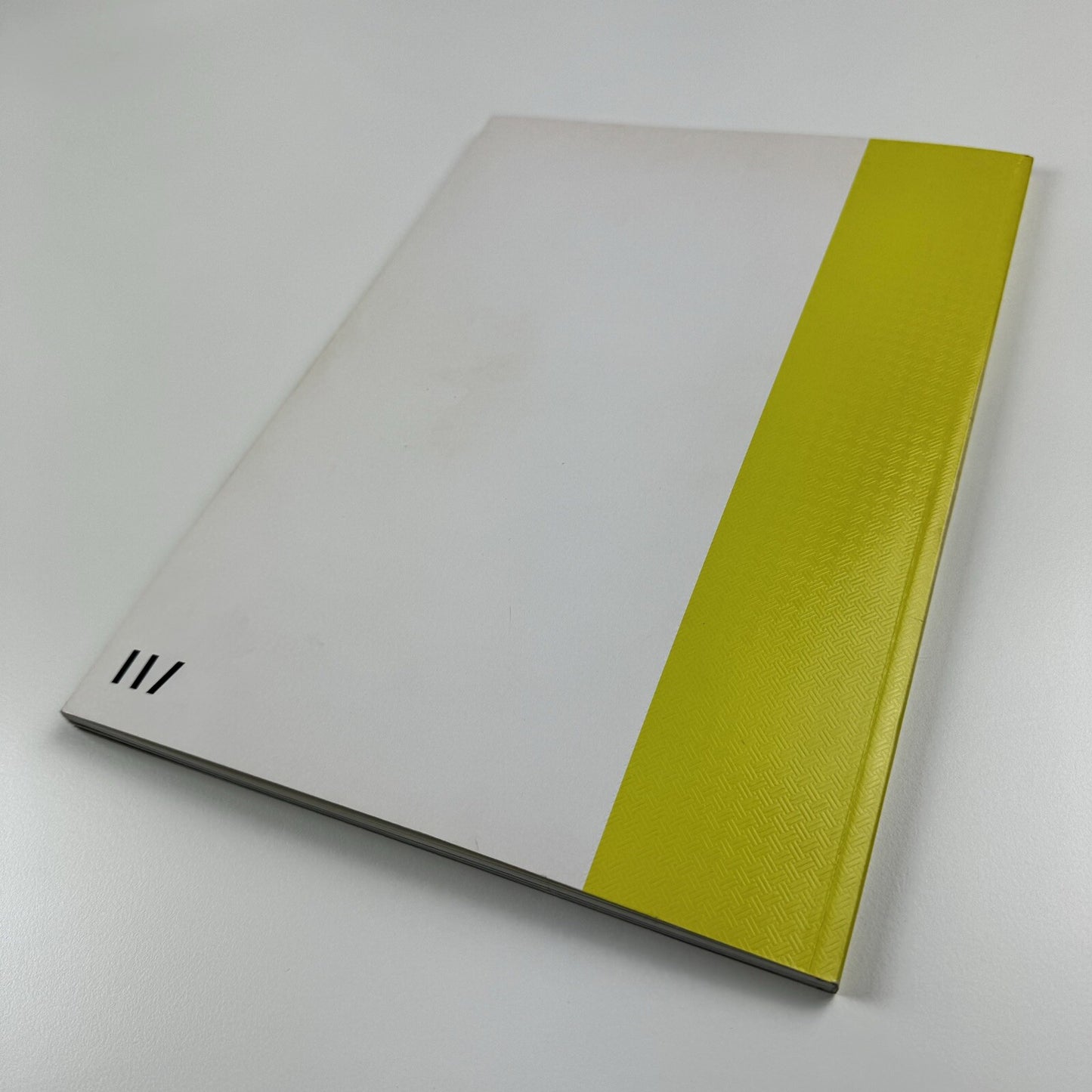 Jonas Burgert. Hitting Every Head | Haunch of Venison London, 2009 catalogue