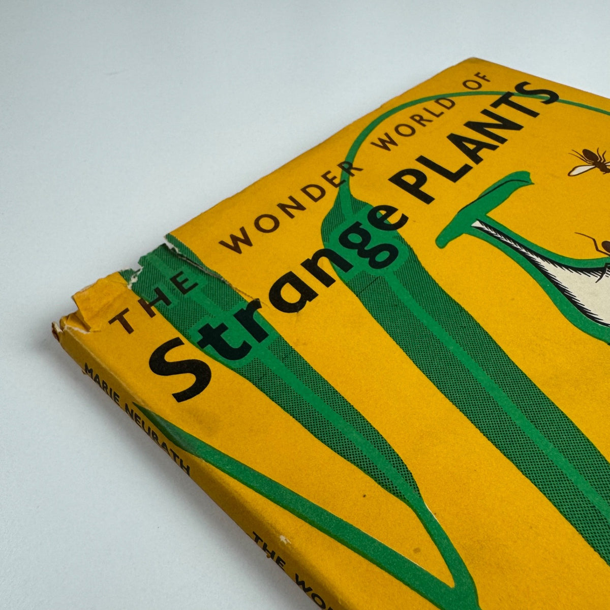 The Wonder World of Strange Plants by Marie Neurath | Max Parrish, 1956 Isotype Institute