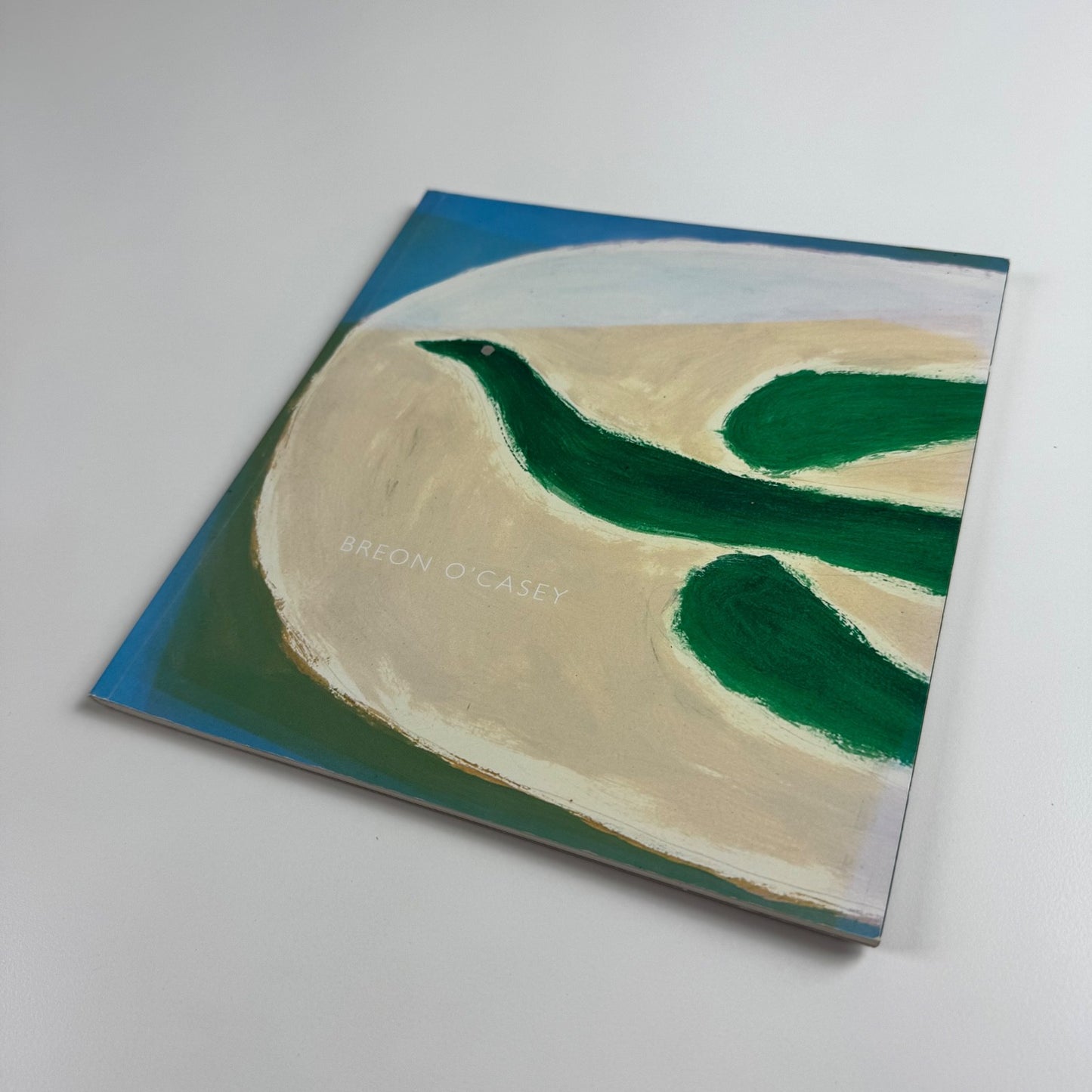 Catalogue for Breon O'Casey | Lemon Street Gallery, 2006