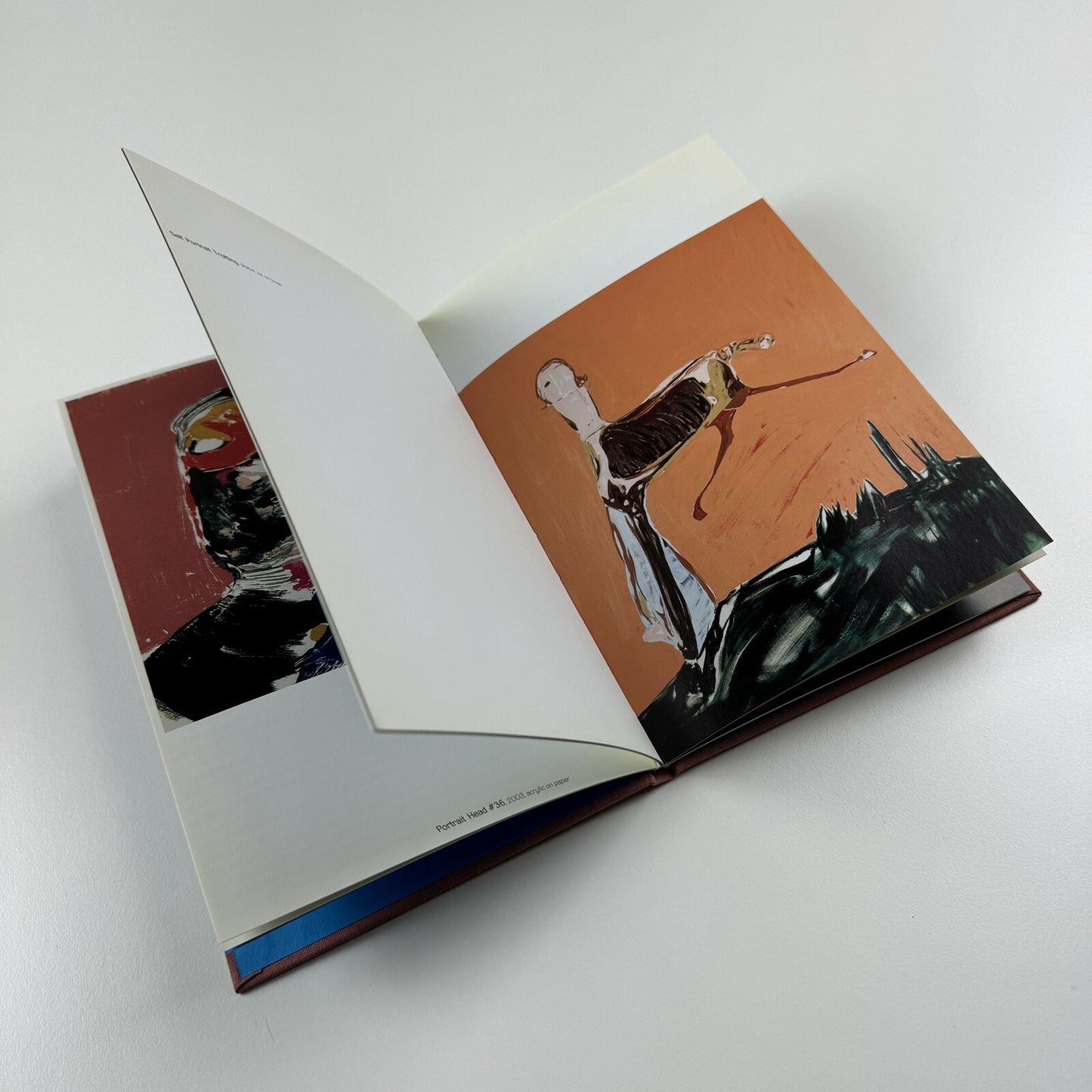 Nicola Tyson | The Douglas Hyde Gallery, Dublin 2005 | Exhibition catalogue