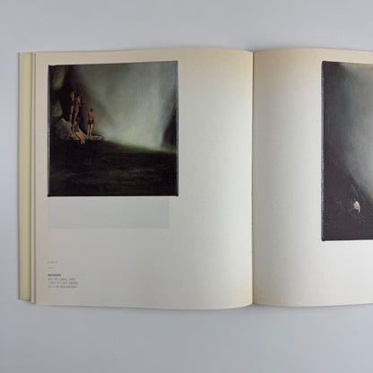 Christopher Orr. Foundation 20 21. Nye Haus, limited edition 1394 of 1500