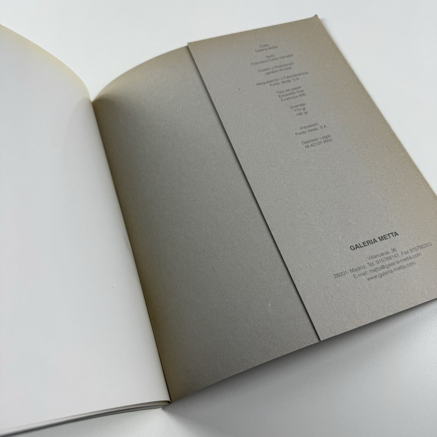 Copyright METTA. Francisco Calvo Serraller | Galeria Metta, Madrid, 2002 | Exhibition catalogue