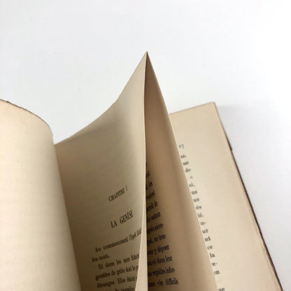 Petite histoire de l’espèce humaine by André Maurois Les Cahiers de Paris, 1937