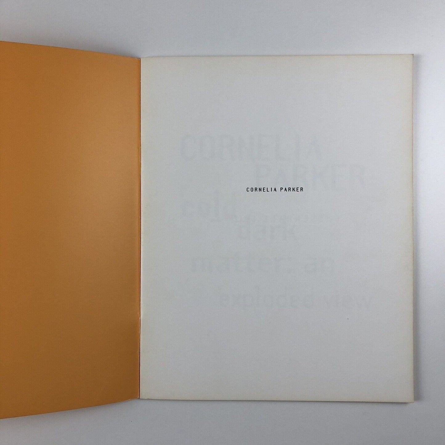 Cornelia Parker. Cold Dark Matter: An Exploded View | Chisenhale Gallery, 1991