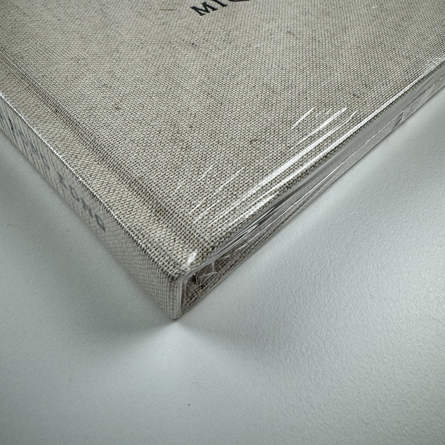 Miquel Barceló. Recent paintings, ceramics and sculpture | Ben Brown Fine Arts Hong Kong catalogue, 2011