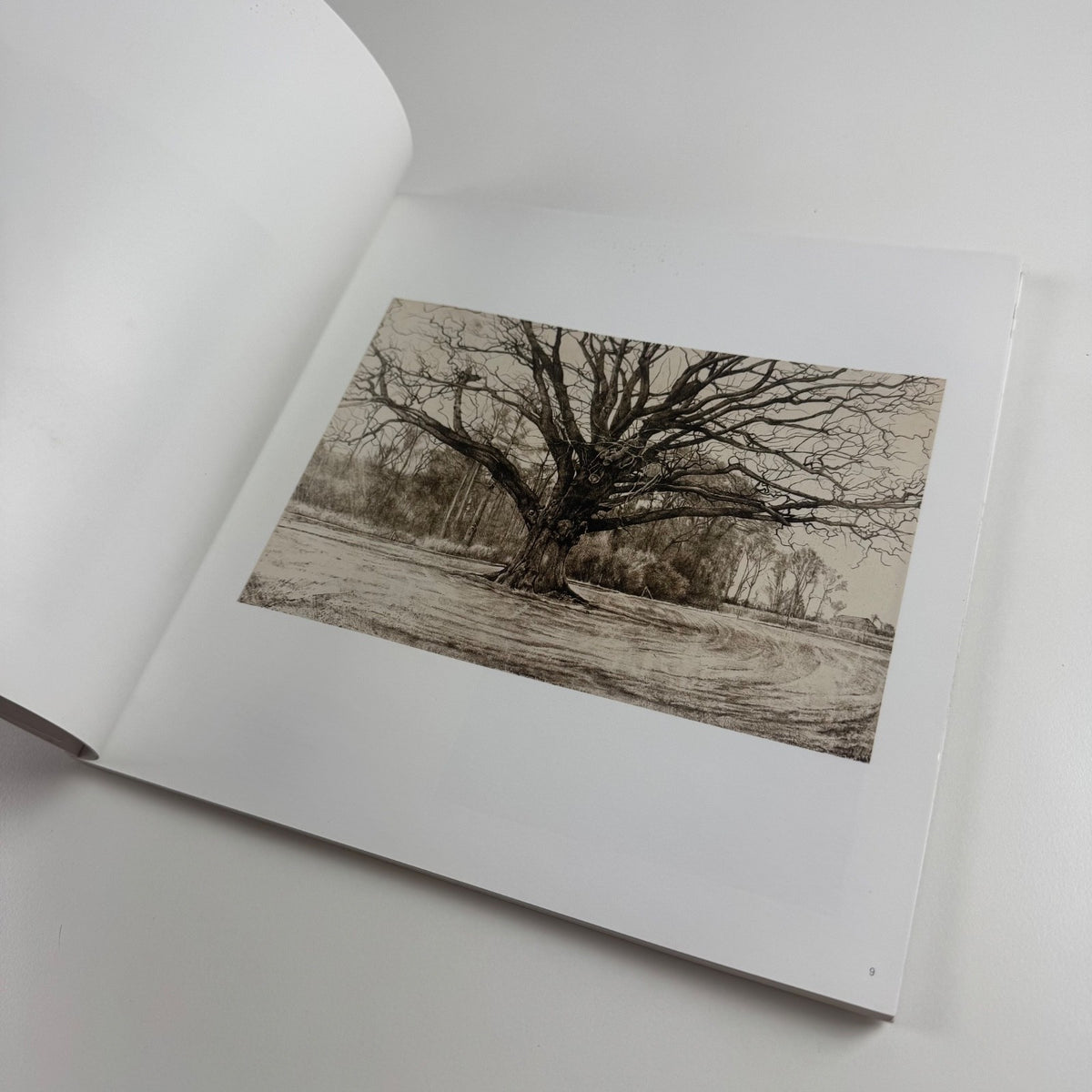 Hugh Stoneman. Master Printer | Tate St Ives, 2007