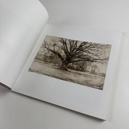 Hugh Stoneman. Master Printer | Tate St Ives, 2007