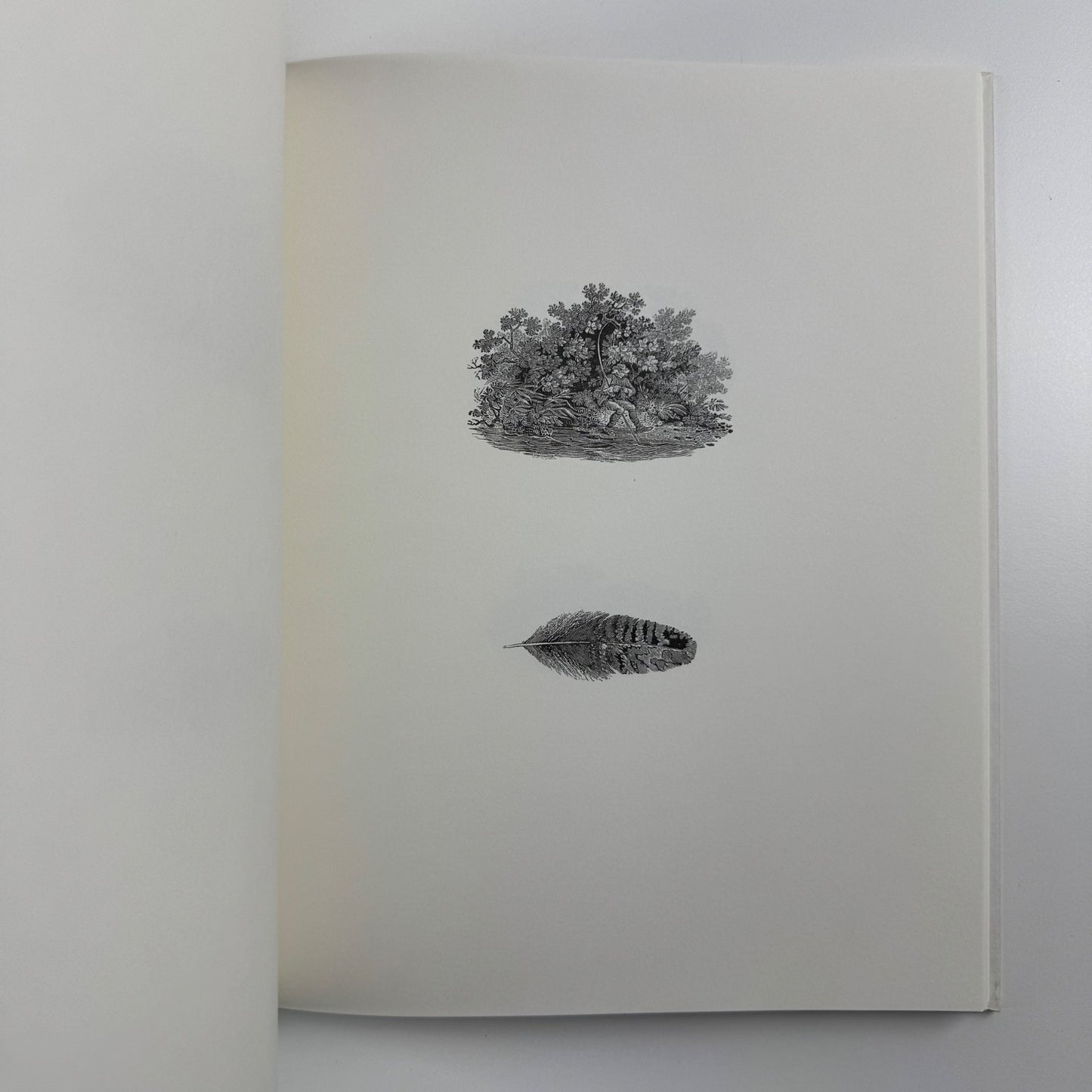 Thomas Bewick. Tale-pieces | Ikon Gallery, 2009