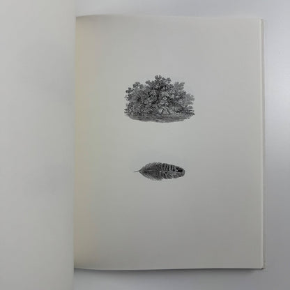 Thomas Bewick. Tale-pieces | Ikon Gallery, 2009