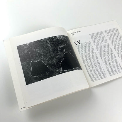 William Green The Susan Hayward exhibition | England & Co catalogue, 1993
