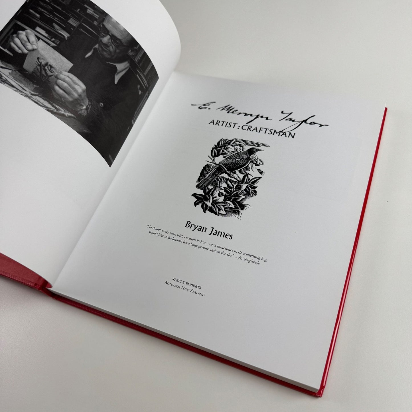 E. Mervyn Taylor. Artist Craftsman by Bryan James | Steele Roberts, 2006