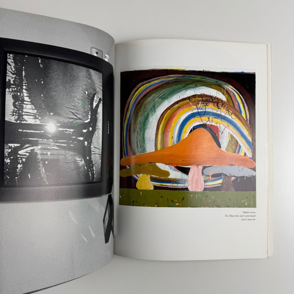 Tal R Fruitland | Museum Abteiberg, Mönchengladbach, 2002