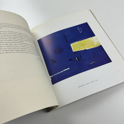 Albert Ràfols-Casamada. Obra reciente | Galeria Metta Madrid 2003
