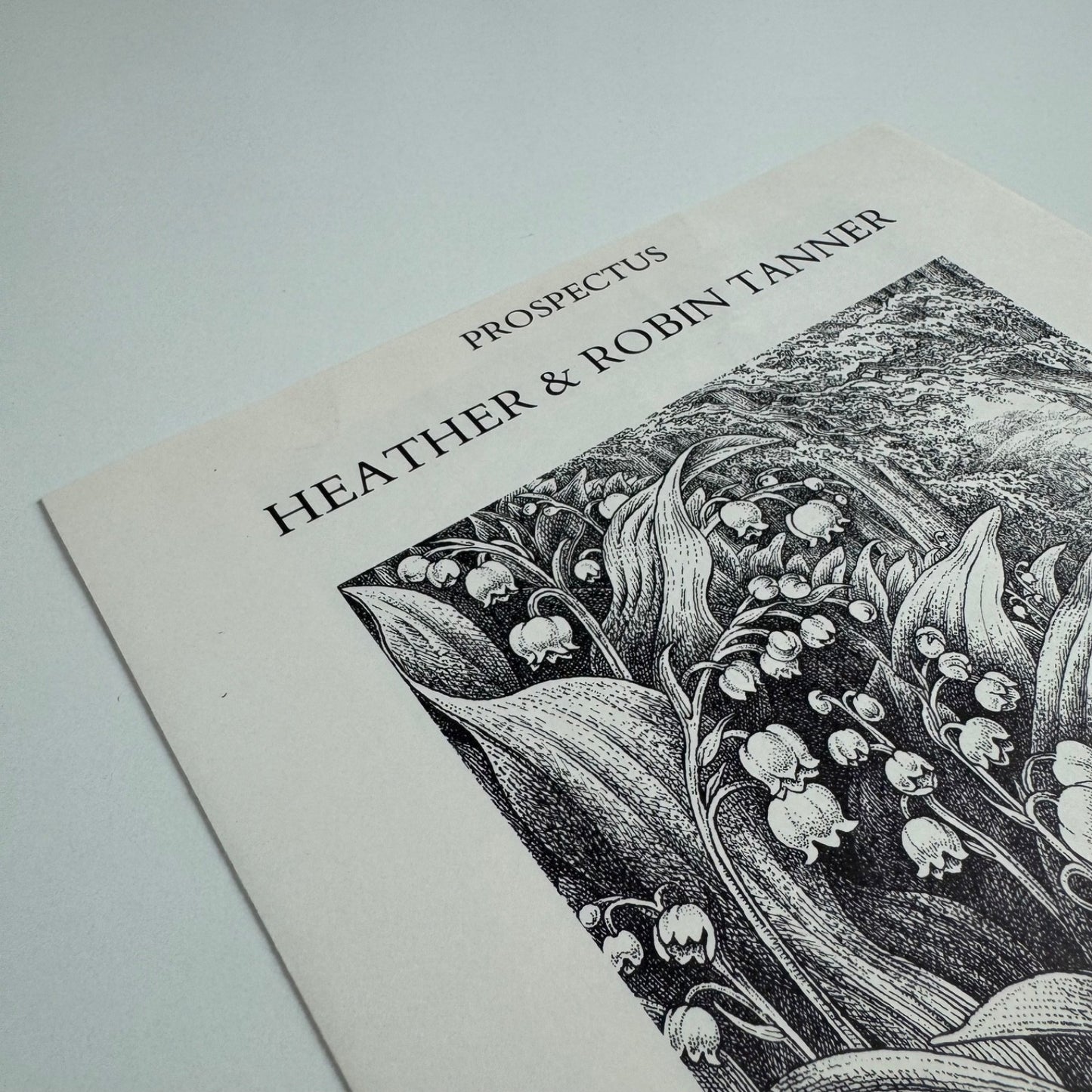 Prospectus for Woodland Plants by Heather & Robin Tanner | Robert Garton 1981