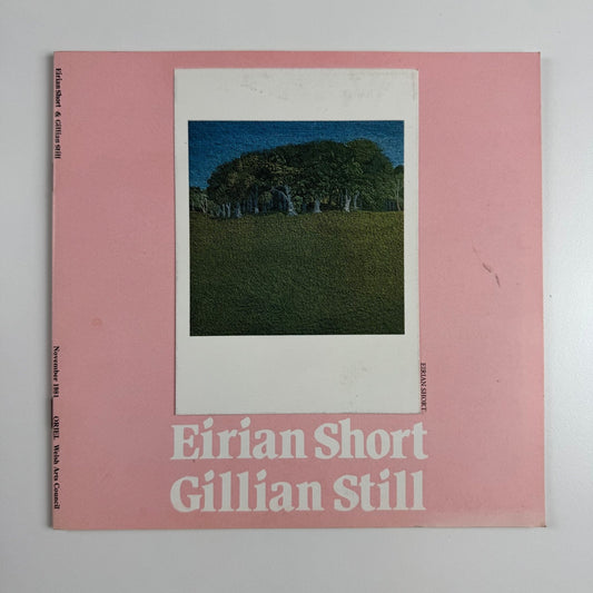 Eirian Short | Gillian Still | Textile Works | Porcelain Works, Oriel Welsh Arts Council 1981