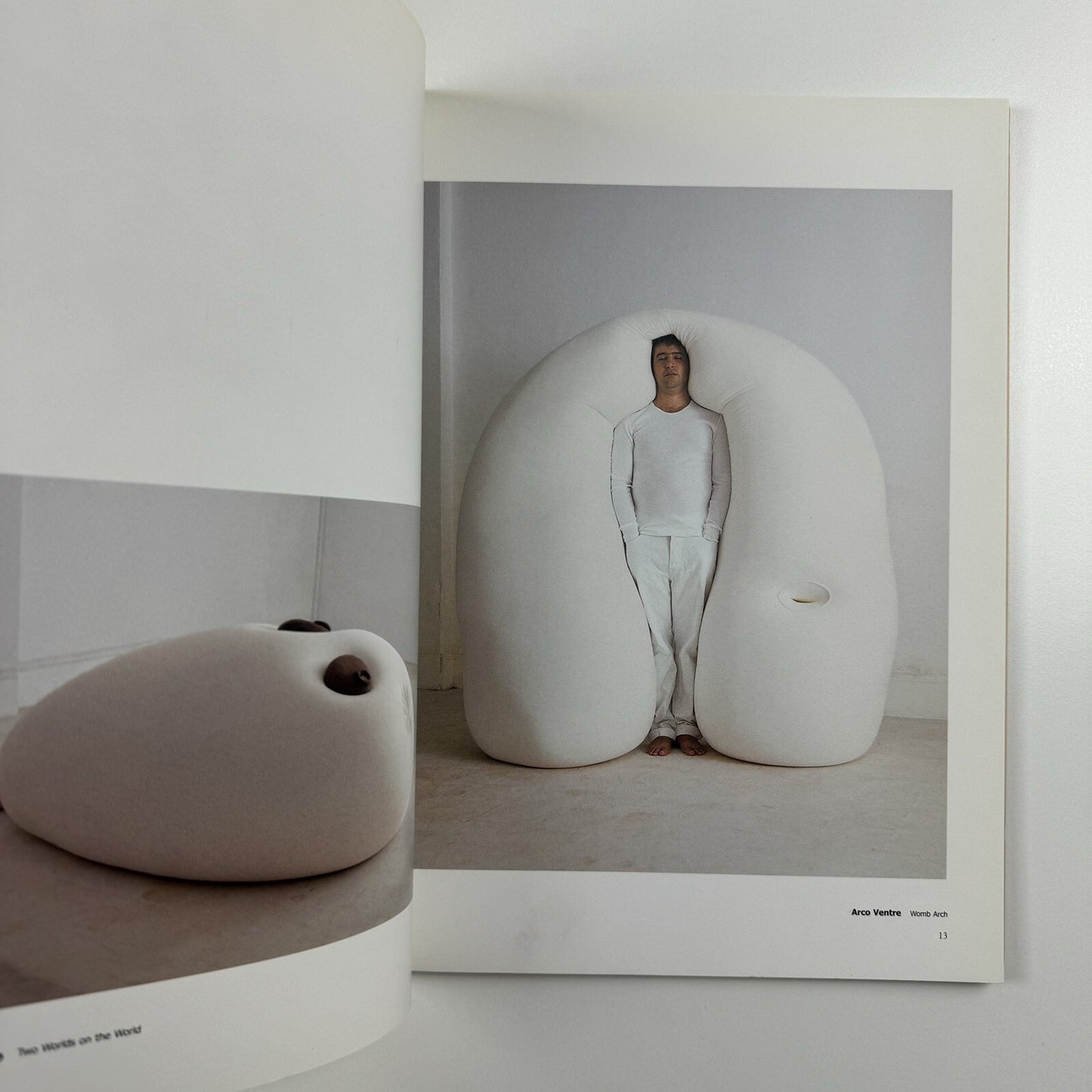 Ernesto Neto. naves, céus, sonhos | Galeria Camargo Vilaça catalogue, 1999