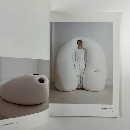 Ernesto Neto. naves, céus, sonhos | Galeria Camargo Vilaça catalogue, 1999