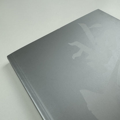 Dream 2001. Contemporary Chinese Art Exhibition | The Red Mansion catalogue, 2001