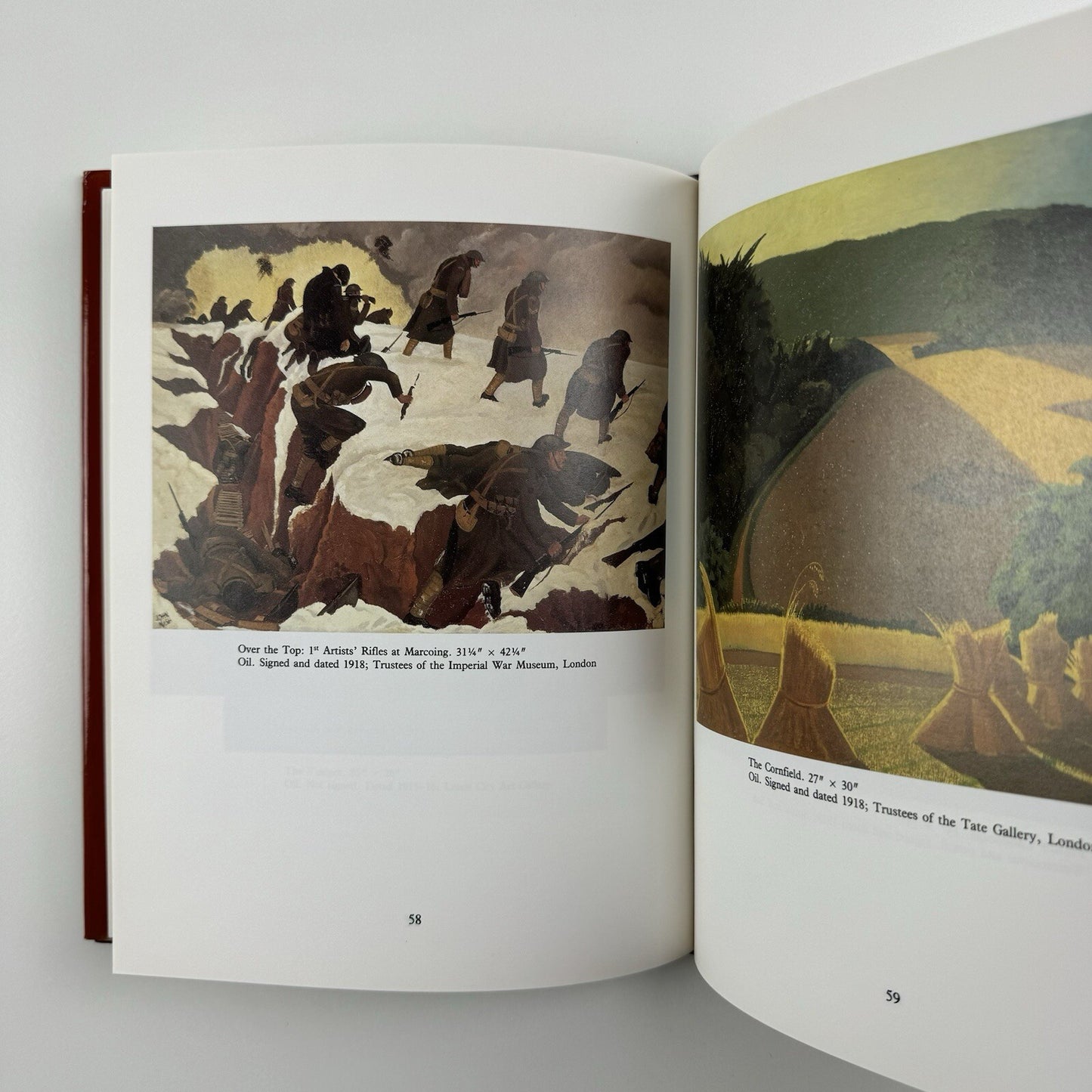 John Nash. ‘The delighted eye’ by Allen Freer | Scolar Press, 1993