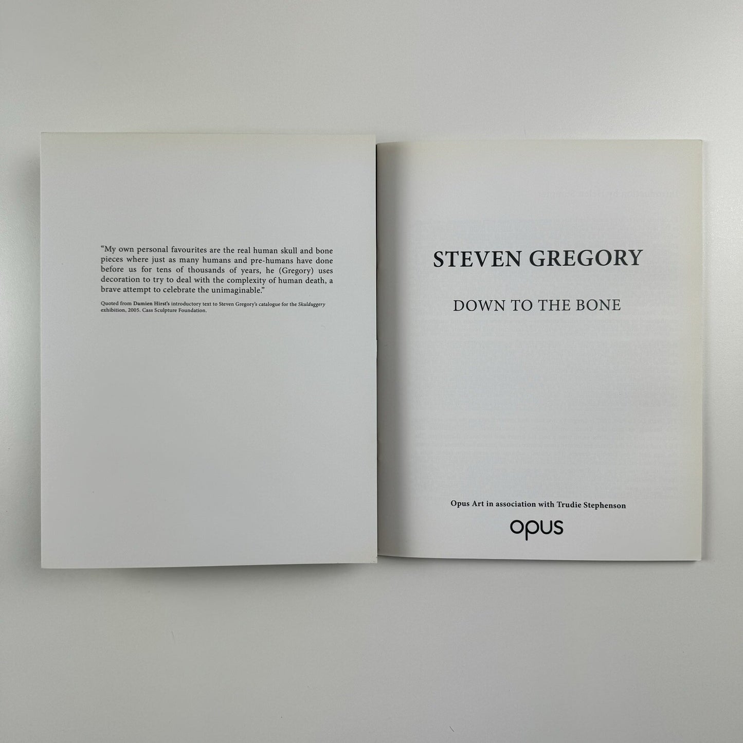 Steven Gregory. Down to the Bone | Opus Art/Trudie Stephenson exhibition catalogue, 2008