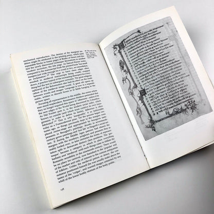 Image On The Edge: The Margins of Medieval Art | Michael Camille, 1992