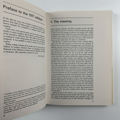 Savage Messiah [Gaudier-Brzeska] by H.S. Ede | Gordon Fraser, London, 1971